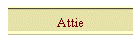 Attie